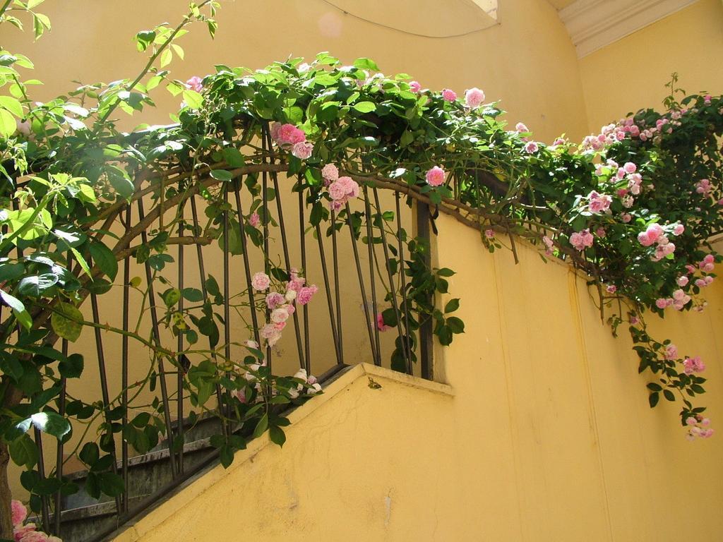 B&B Maison Rosetta Iun-E4948 Nuoro  Exterior photo